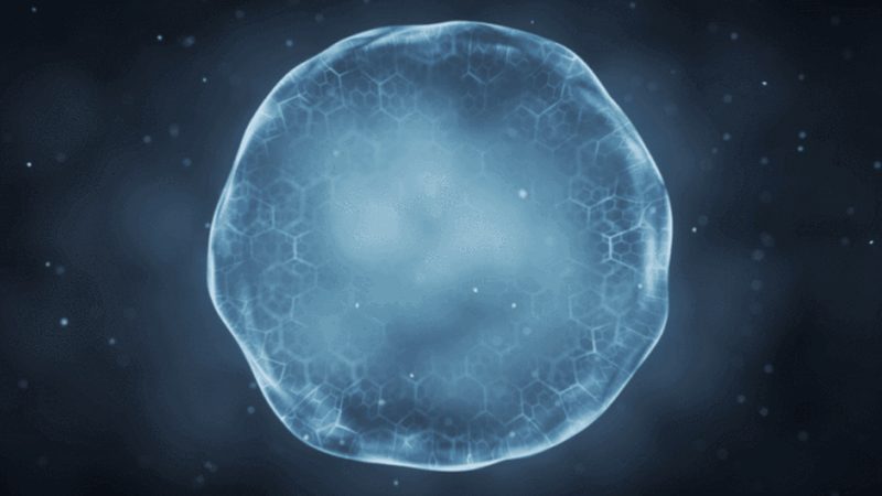 Western blot试剂使用流程：关键步骤与注意事项**