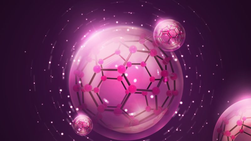 蛋白质表达定制服务：揭秘高效定制化策略**