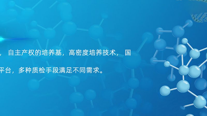 PCR试剂盒生产流程揭秘：从原料到成品的关键环节