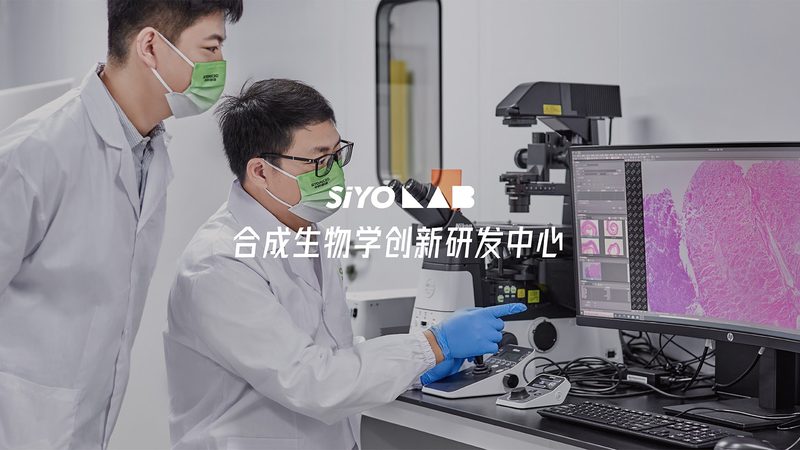 实验室玻璃仪器品牌对比