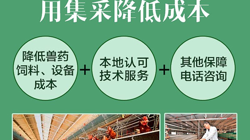 小型生物科技实验设备：规格解析与选购要点