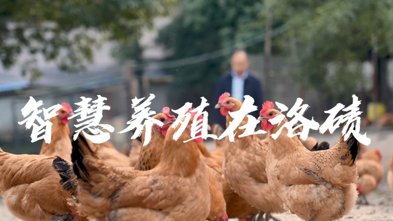 实验室耗材材质：揭秘其背后的标准要求
